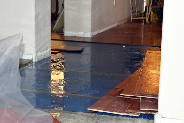 Professional Water Damage Restoration technician working in Edward, NC